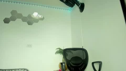 William Parra online show from February 2025 11:26:01 PM