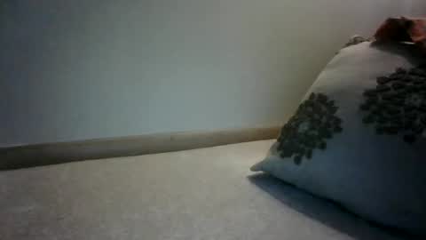 Willhedoher online show from February 2025 01:48:02 PM