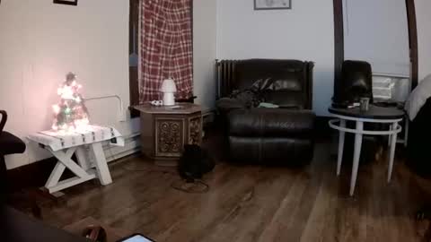 willydogg83 online show from December 2025 06:07:02 AM