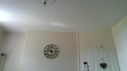 windy19391a online show from May 2026 09:49:01 AM