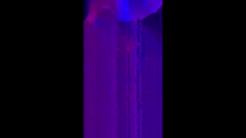 Snapshot of winston_woods69 chatting on June 2026 08:48:01 AM winston_woods69 online show from June 2026 08:48:01 AM