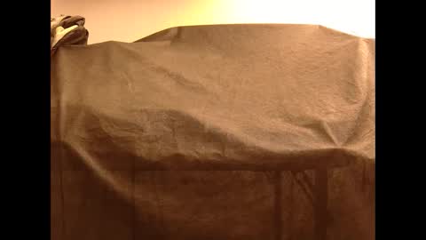 Snapshot of withbothhandsplease chatting on December 2024 10:39:01 AM Mater online show from December 2024 10:39:01 AM