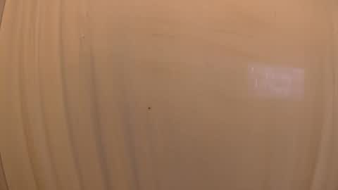 Snapshot of withbothhandsplease chatting on October 2025 03:34:01 PM Mater online show from October 2025 03:34:01 PM