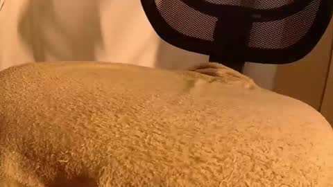 Snapshot of withbothhandsplease chatting on November 2025 05:44:02 PM Mater online show from November 2025 05:44:02 PM