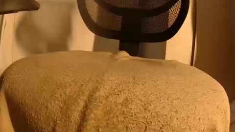 Snapshot of withbothhandsplease chatting on February 2026 01:49:02 PM Mater online show from February 2026 01:49:02 PM