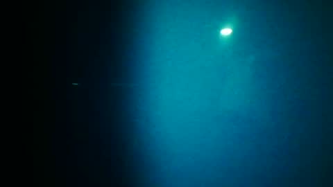 woodeee77 online show from June 2026 10:58:02 PM