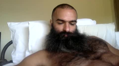 woof_wolf37 online show from February 2026 03:30:02 PM