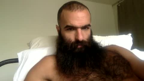 woof_wolf37 online show from April 2026 04:01:01 PM