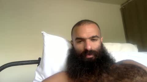 Snapshot of woof_wolf37 chatting on April 2026 04:12:01 PM woof_wolf37 online show from April 2026 04:12:01 PM