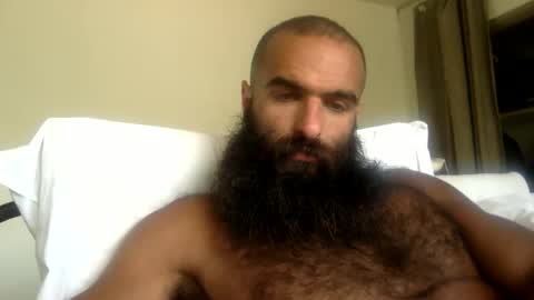 Snapshot of woof_wolf37 chatting on May 2026 07:31:01 PM woof_wolf37 online show from May 2026 07:31:01 PM