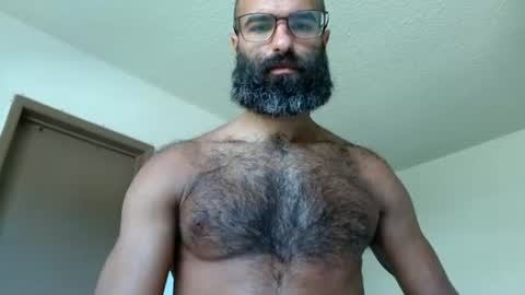Snapshot of woof_wolf37 chatting on July 2026 04:49:02 PM woof_wolf37 online show from July 2026 04:49:02 PM