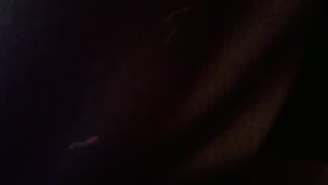 wrangleat0r online show from February 2026 02:50:02 AM