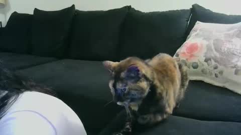 Crystal Lake online show from October 2025 06:35:02 AM