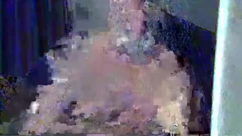 xavireig online show from April 2026 11:02:01 PM