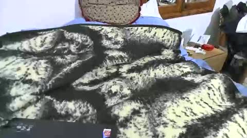 xaxi3 online show from January 2026 11:31:01 PM