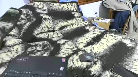 xaxi3 online show from March 2026 03:45:02 AM