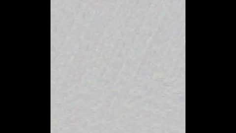 JSSD online show from March 2025 09:50:01 AM