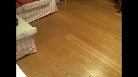 xmystiqdreamsx online show from January 2025 12:01:01 PM