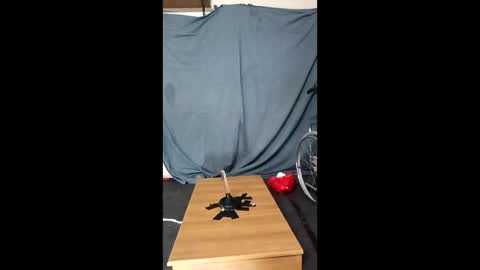 Snapshot of xoomia3 chatting on January 2026 10:28:02 AM xoomia3 online show from January 2026 10:28:02 AM