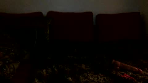 Snapshot of xoviolettt chatting on February 2025 06:43:01 AM 3 online show from February 2025 06:43:01 AM