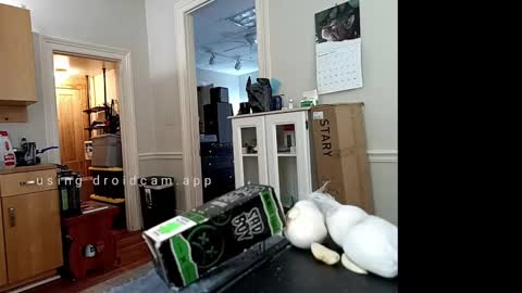 Snapshot of xstay_coldx chatting on February 2025 06:24:01 PM Johnny online show from February 2025 06:24:01 PM