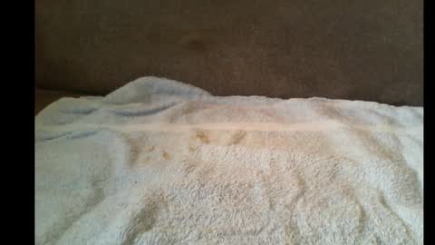 xxbigdick90xx online show from May 2026 06:43:01 AM