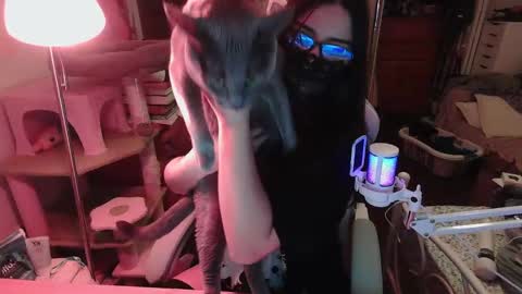 coco online show from November 2025 08:46:02 AM