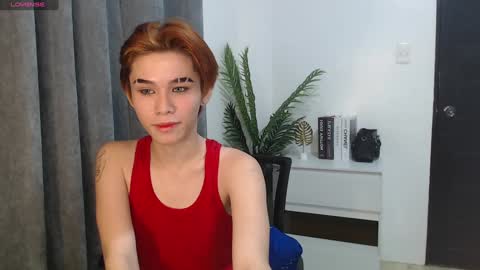 seb online show from January 2025 09:44:02 AM