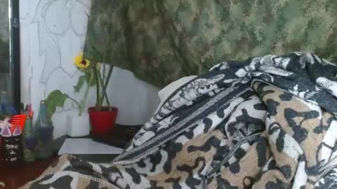   LILI  online show from January 2025 12:05:02 AM