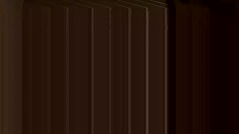 Sean online show from January 2025 01:37:02 AM