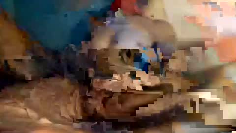 Snapshot of xxxdarknagician81 chatting on September 2025 03:13:02 PM xxxdarknagician81 online show from September 2025 03:13:02 PM