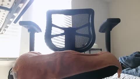 yahbuddy online show from October 2025 07:55:01 PM