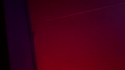 Snapshot of yelladaniella chatting on December 2025 10:42:01 AM Ella Ts online show from December 2025 10:42:01 AM