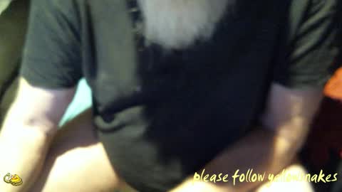 .     y e l l o w s n a k e s       . online show from October 2025 03:51:02 AM