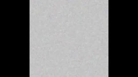 .     y e l l o w s n a k e s       . online show from November 2025 06:41:02 AM