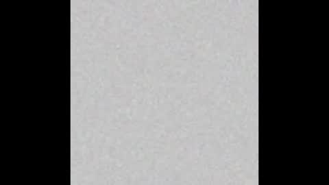 .     y e l l o w s n a k e s       . online show from November 2025 06:12:01 PM