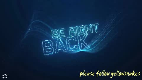 .     y e l l o w s n a k e s       . online show from February 2026 06:28:02 AM