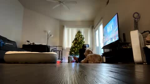 Palmela Handerson online show from December 2024 11:40:02 PM