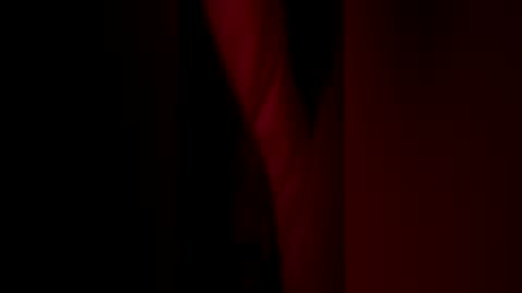 yoda_dummy3 online show from July 2026 08:18:02 AM