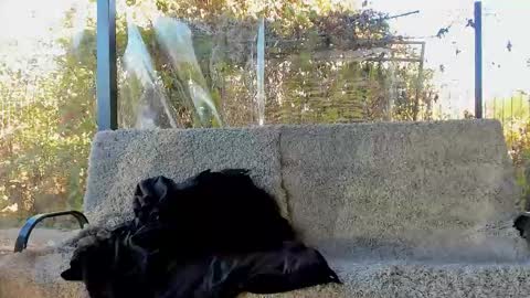 private on 18 per minute start private 500 tokensOnlyfans  online show from October 2025 09:11:01 AM