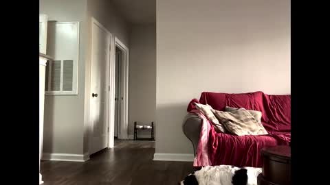 kindahorny online show from October 2025 06:09:02 PM