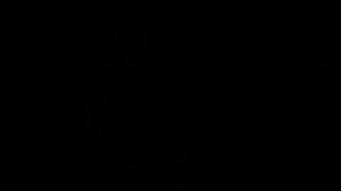 Scent online show from February 2026 08:33:02 AM