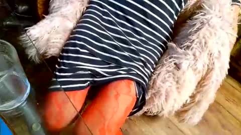 Snapshot of your_dog chatting on December 2025 04:39:01 AM Taylor Tash online show from December 2025 04:39:01 AM