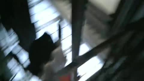 yourpersonalgeniusl online show from December 2024 10:47:02 PM