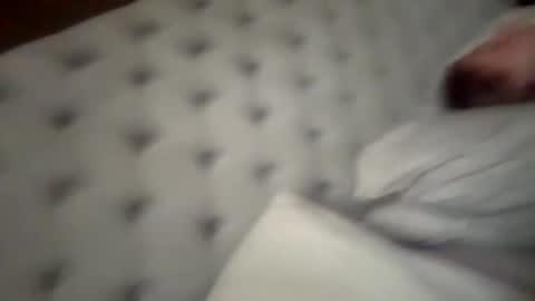 Snapshot of youwantus69 chatting on September 2025 05:50:01 AM You want us 69 online show from September 2025 05:50:01 AM