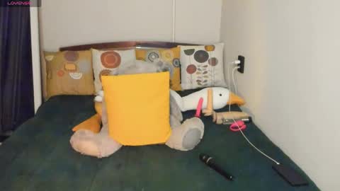 KIM online show from April 2026 03:13:01 PM