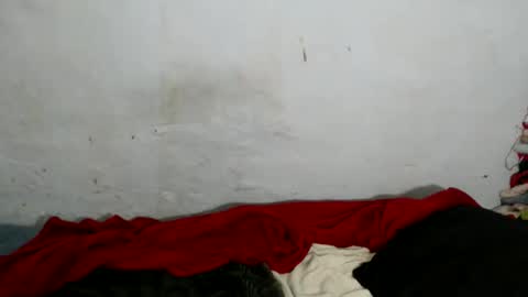 Snapshot of yummytittsxx chatting on March 2026 03:09:01 AM yummytittsxx online show from March 2026 03:09:01 AM