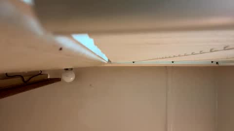 yungstudbev online show from March 2026 12:40:01 PM