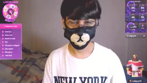 the puppy boy online show from November 2025 04:01:02 AM