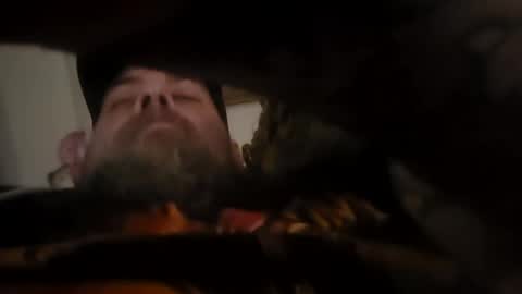 Z0RL0C online show from July 2026 11:02:02 AM